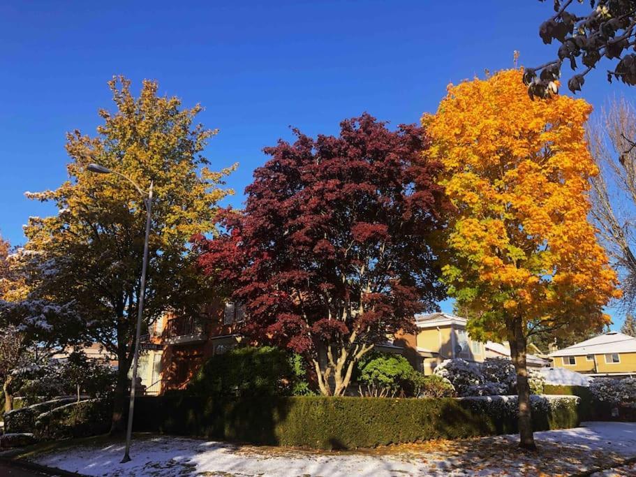 Super Cosy 8Bed & 6Bath In Vancouver Heart Near To Airport And Downtown מראה חיצוני תמונה